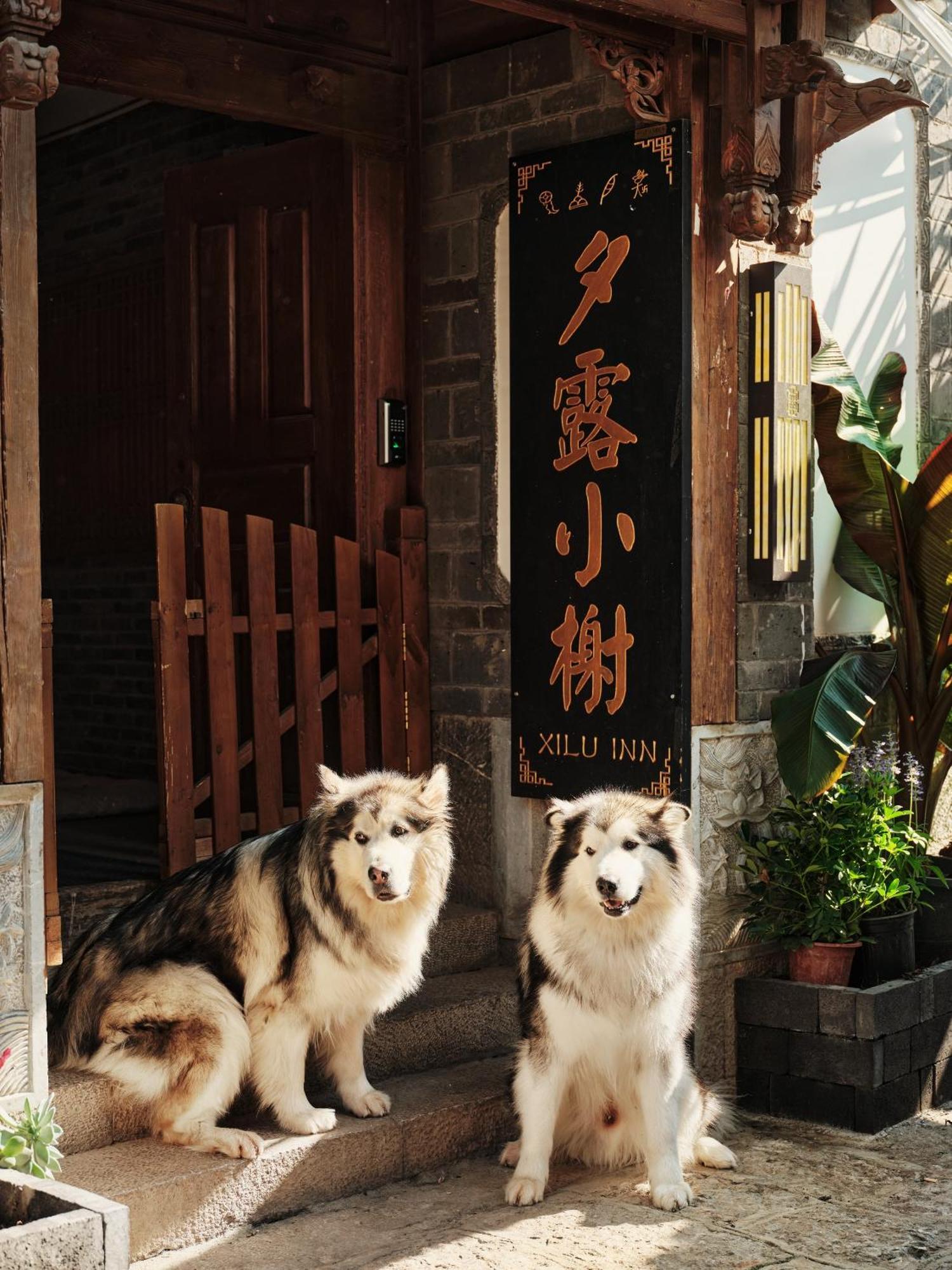 Xilu Xiaoxie Inn Old Town Lijiang Лиджанг Екстериор снимка