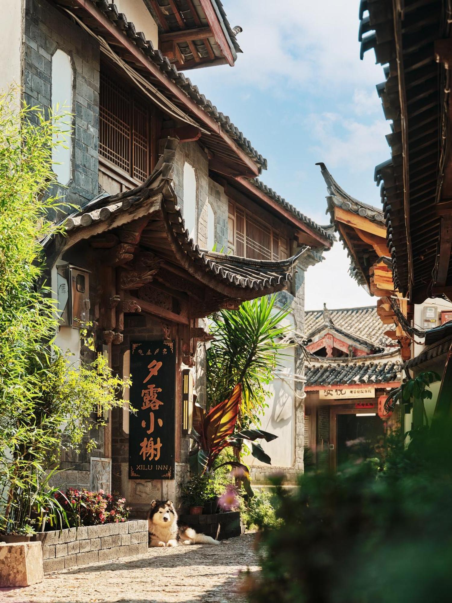 Xilu Xiaoxie Inn Old Town Lijiang Лиджанг Екстериор снимка