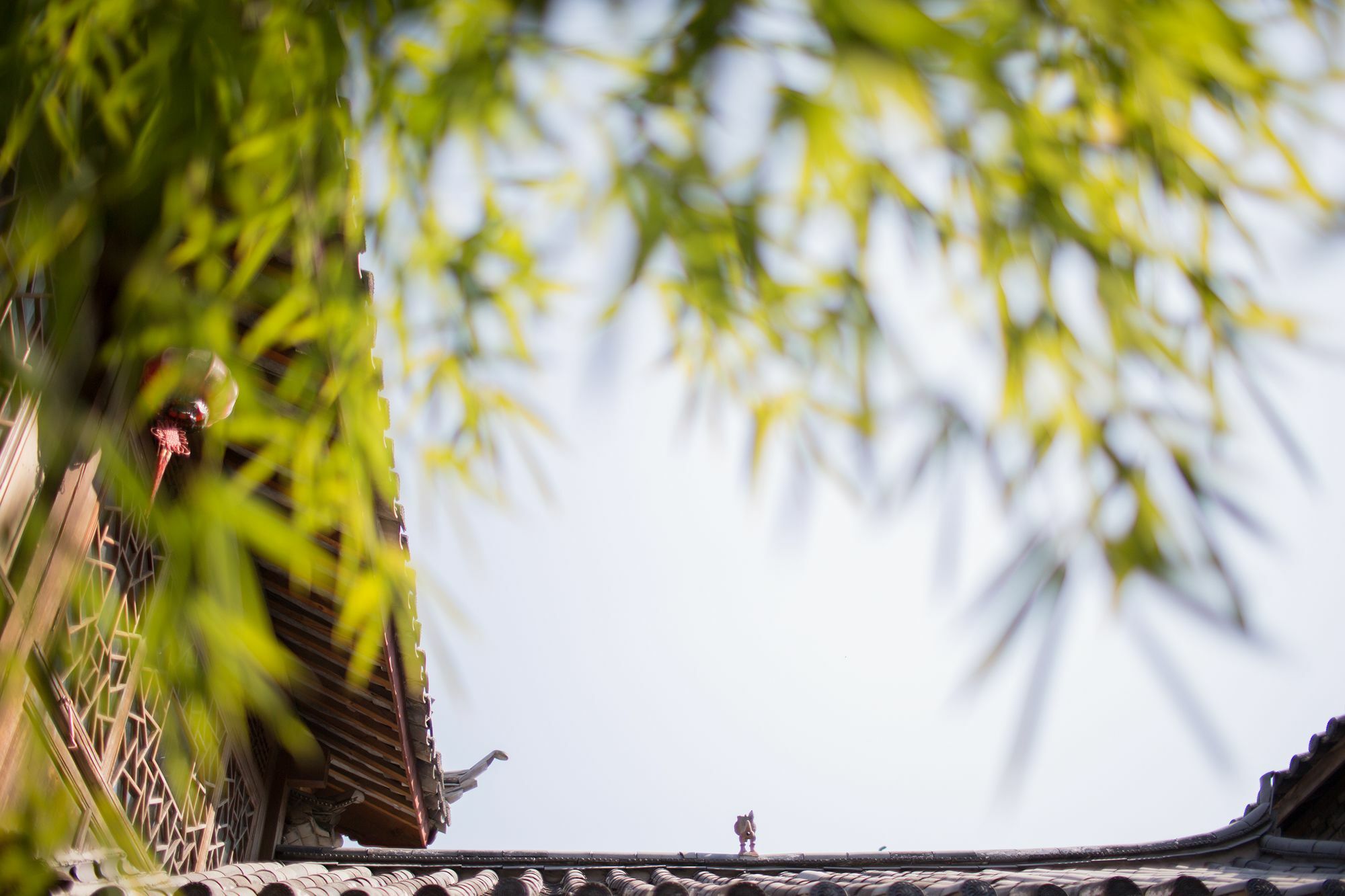Xilu Xiaoxie Inn Old Town Lijiang Лиджанг Екстериор снимка