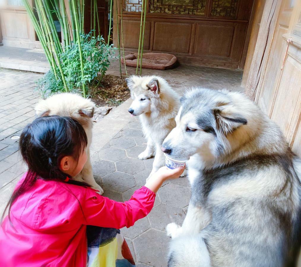 Xilu Xiaoxie Inn Old Town Lijiang Лиджанг Екстериор снимка